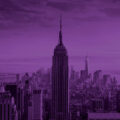 purple-sq-ny